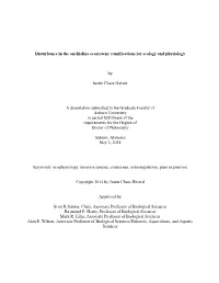 Disturbance in the Anchialine Ecosystem: Ramifications for Ecology and Physiology