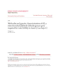 Molecular and Genetic Characterization of Rf2, A