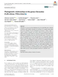 Phylogenetic Relationships in the Genus Cheracebus (Callicebinae, Pitheciidae)