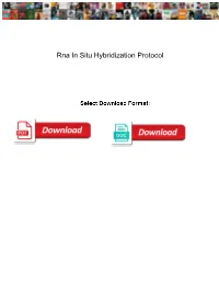 Rna in Situ Hybridization Protocol