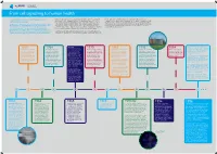 From Cell Signalling to Human Health