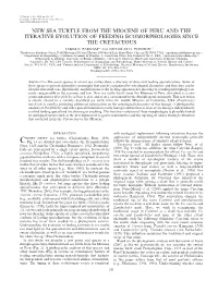 New Sea Turtle from the Miocene of Peru and the Iterative Evolution of Feeding Ecomorphologies Since the Cretaceous