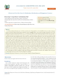 A Review on Rice False Smut, It's Distribution, Identification And