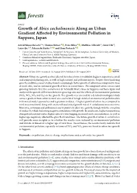 Growth of Abies Sachalinensis Along an Urban Gradient Affected By
