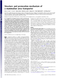 Structure and Permeation Mechanism of a Mammalian Urea Transporter