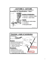 LECTURE 5 - OUTLINE Evolution & Classification - Part I