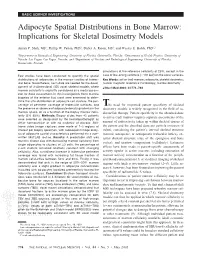 Adipocyte Spatial Distributions in Bone Marrow: Implications for Skeletal Dosimetry Models
