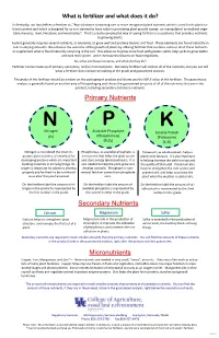What Is a Fertilizer and What Does It Do