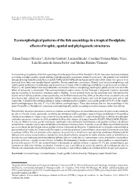 Ecomorphological Patterns of the Fish Assemblage in a Tropical Floodplain: Effects of Trophic, Spatial and Phylogenetic Structures