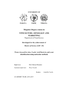 From Vineyard to Wine, Lactic Acid Bacteria and Yeast Identification Using Molecular Methods