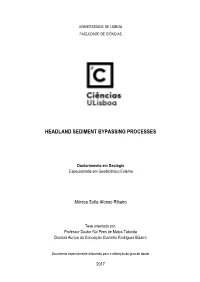 Headland Sediment Bypassing Processes