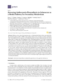 Assessing Anthocyanin Biosynthesis in Solanaceae As a Model Pathway for Secondary Metabolism