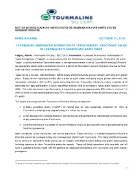 Tourmaline Announces Formation of Topaz Energy, Unlocking Value in Tourmaline's Significant Asset Base