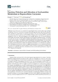 Function, Detection and Alteration of Acylcarnitine Metabolism in Hepatocellular Carcinoma