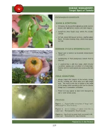 Target Spot of Tomato
