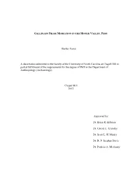 Barker Fariss a Dissertation Submitted to the Faculty of the University of North Carolina at Chapel Hill in Partial Fulfillment