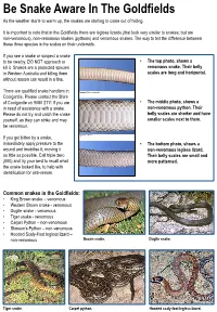 Be Snake Aware in the Goldfields As the Weather Starts to Warm Up, the Snakes Are Starting to Come out of Hiding