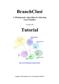 Branchclust Tutorial
