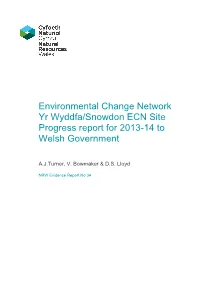 ECN Annual Report