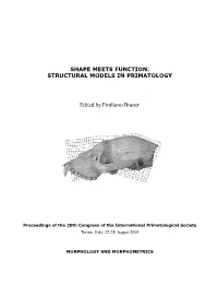 Mammalia, Plesiadapiformes) As Reflected on Selected Parts of the Postcranium