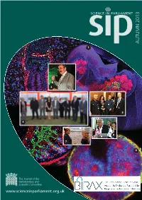 Sip AUTUMN 2013 7/10/13 15:27 Page 1