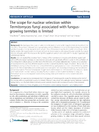 The Scope for Nuclear Selection Within Termitomyces Fungi Associated With