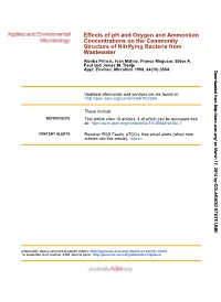 Wastewater Structure of Nitrifying Bacteria from Concentrations on The