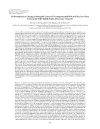 Is Homoplasy Or Lineage Sorting the Source of Incongruent Mtdna and Nuclear Gene Trees in the Stiff-Tailed Ducks (Nomonyx-Oxyura)?