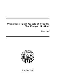 Phenomenological Aspects of Type IIB Flux Compactifications