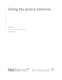 Sizing the Piracy Universe