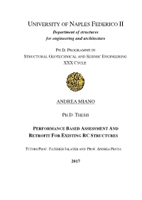 UNIVERSITY of NAPLES FEDERICO II Department of Structures for Engineering and Architecture