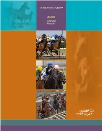 2018 Annual Report Table of Contents