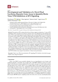 Development and Validation of a Novel Dual Luciferase Reporter Gene Assay to Quantify Ebola Virus VP24 Inhibition of IFN Signaling