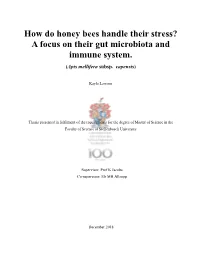 How Do Honey Bees Handle Their Stress? a Focus on Their Gut Microbiota and Immune System