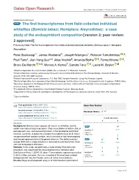 The First Transcriptomes from Field-Collected Individual Whiteflies