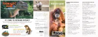 Visitor Guide