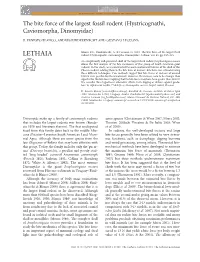 The Bite Force of the Largest Fossil Rodent (Hystricognathi, Caviomorpha, Dinomyidae)