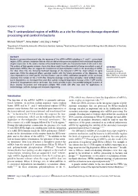 Untranslated Region of Mrnas As a Site for Ribozyme Cleavage-Dependent Processing and Control in Bacteria