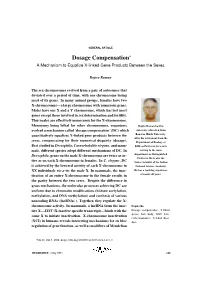 Dosage Compensation∗ a Mechanism to Equalize X-Linked Gene Products Between the Sexes