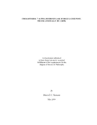 TRANSLATIONALLY by AMPK a Dissertation