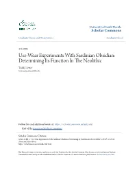 Use-Wear Experiments with Sardinian Obsidian: Determining Its Function in the Eolithicn Teddi J