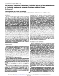 Mechanism of Adenosine Triphosphate Catabolism Induced by Deoxyadenosine and by Nucleoside Analogues in Adenosine Deaminase-Inhibited Human Erythrocytes1