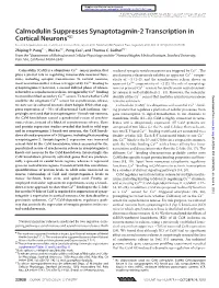 Calmodulin Suppresses Synaptotagmin-2 Transcription In