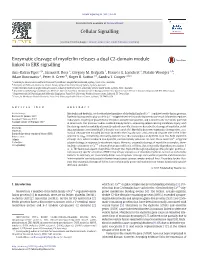 Enzymatic Cleavage of Myoferlin Releases a Dual C2-Domain Module Linked to ERK Signalling