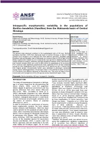 Intraspecific Morphometric Variability in the Populations of Barilius Bendelisis (Hamilton) from the Alaknanda Basin of Central Himalaya