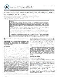 Immunohistochemical Detection of Haemoglobin Subunit Epsilon (HBE