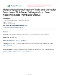 Morphological Identification of Ticks and Molecular