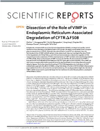 Dissection of the Role of VIMP in Endoplasmic Reticulum-Associated
