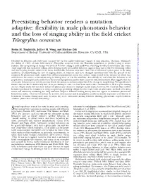 Flexibility in Male Phonotaxis Behavior and the Loss of Singing Ability In