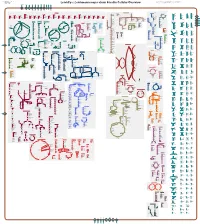 Generate Metabolic Map Poster
